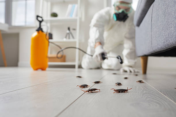 Commercial Rodent Management in Broadview Park